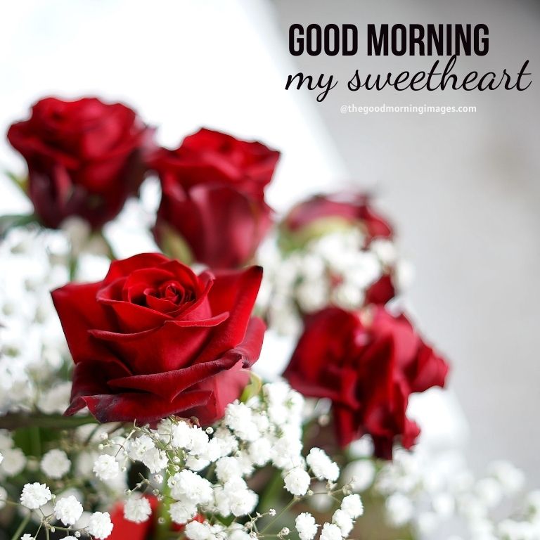 Good Morning Sweetheart with rose Images