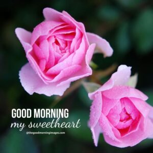 100+ Good Morning Sweetheart Images [For Your Partner]