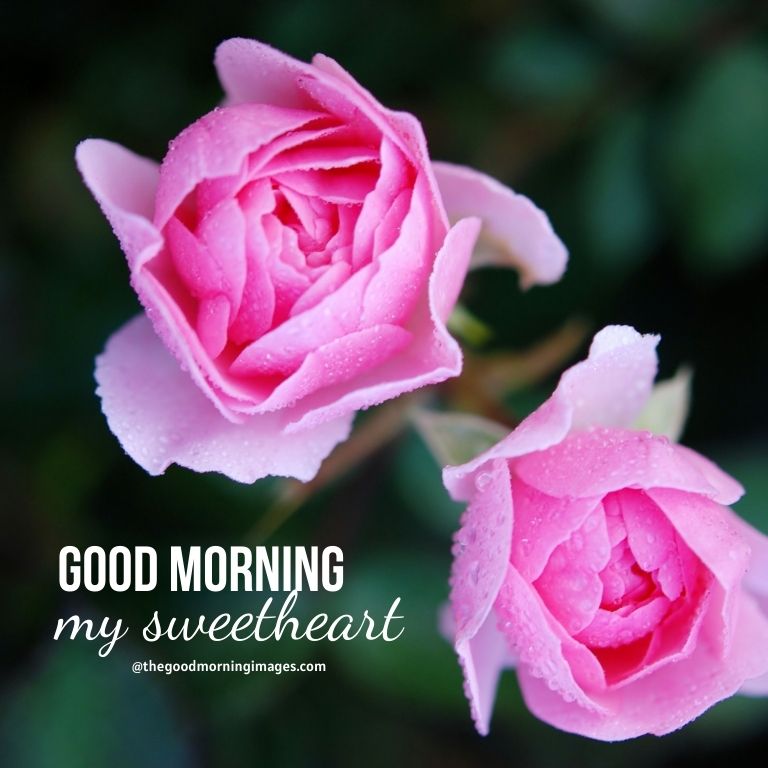 50+ Lovable Good Morning Sweetheart Images