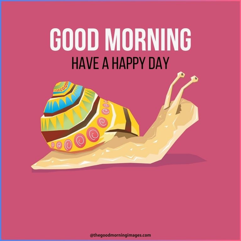 good morning cartoon Snail images