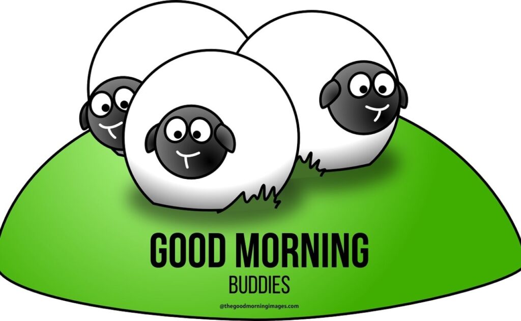 good morning shaun the sheep cartoon images
