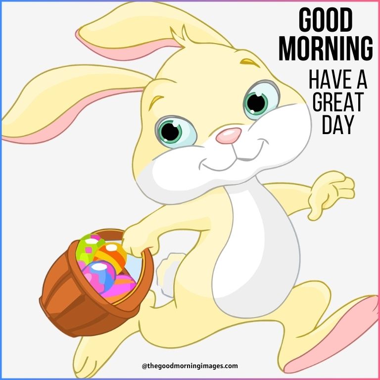 good morning rabbit cartoon pictures