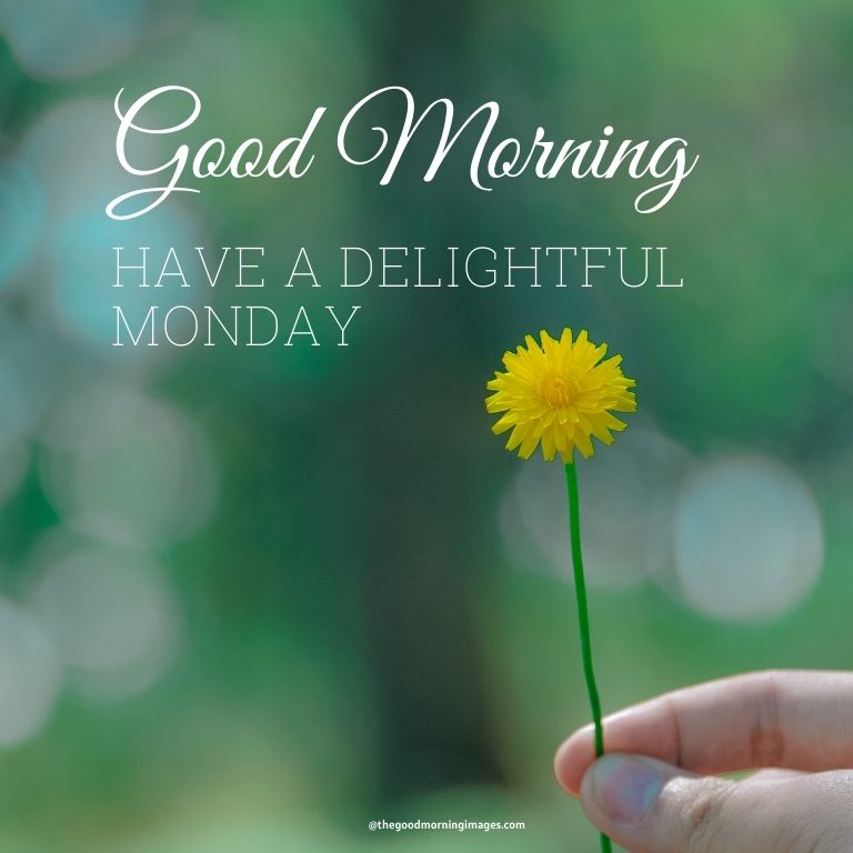 Good Morning Monday bright images