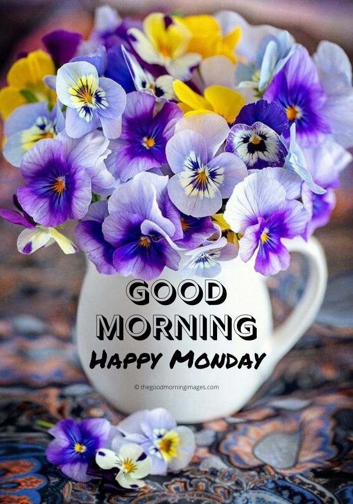 Happy Monday Good Morning Flowers - Good Morning Flowers Good Morning ...