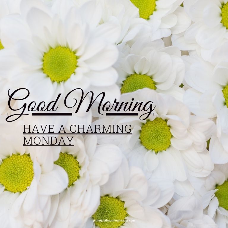 Morning Monday images with white flowers