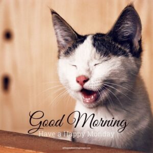 60  Best Good Morning Monday Images 2024