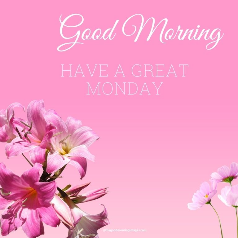 Good Morning Monday pink flower img