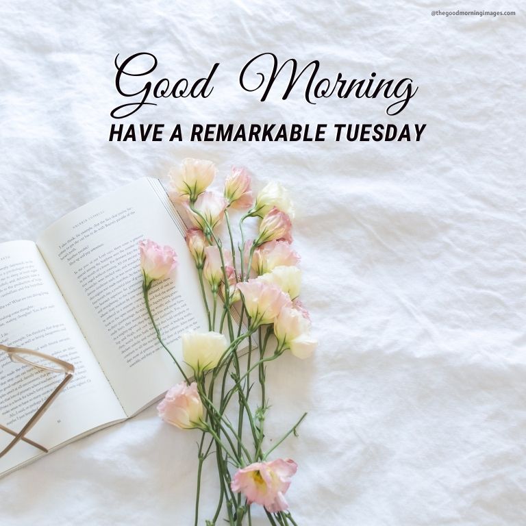 Tuesday Good Morning Images with books and rose