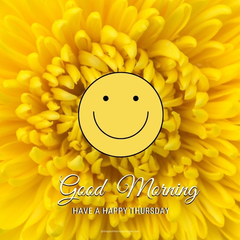 Good Morning Thursday yellow flowers Images