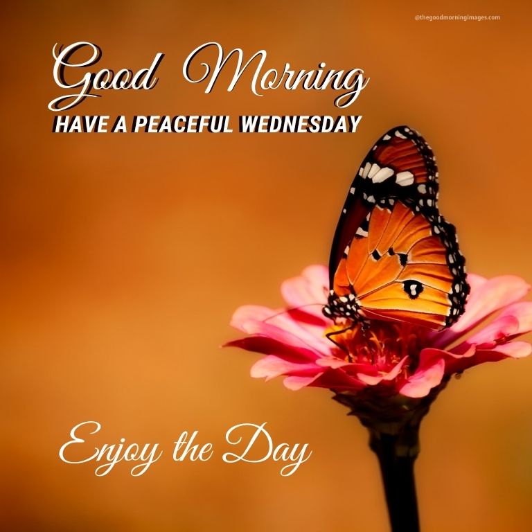 good morning wednesday hd images