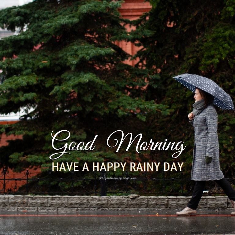 Rain best present. Good Rainy morning Monday.