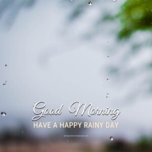 50+ [BEST] Rainy Good Morning Images [2024]