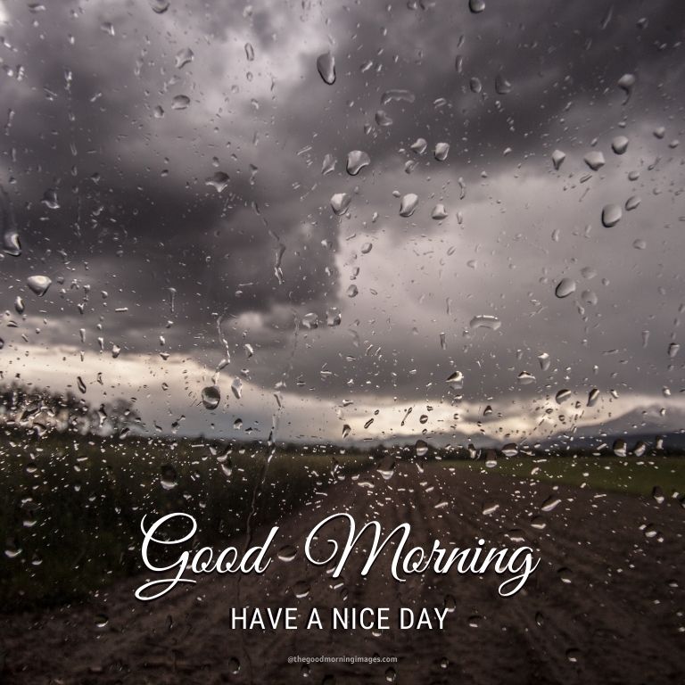 45+ [BEST] Rainy Good Morning Images