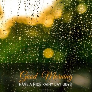 45+ [BEST] Rainy Good Morning Images