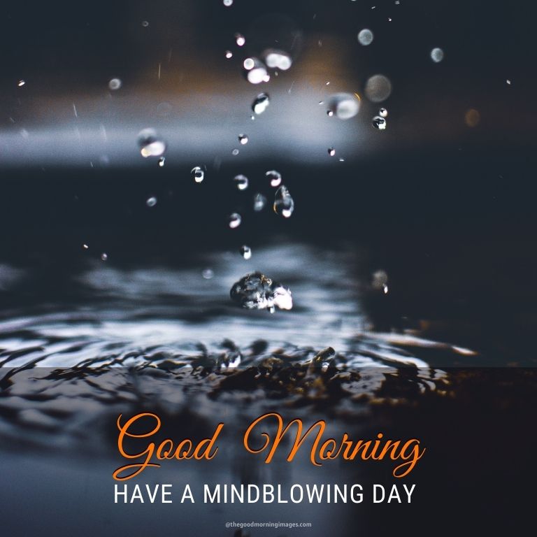 50+ [Best] Rainy Good Morning Images [2023]