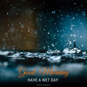 45+ [BEST] Rainy Good Morning Images