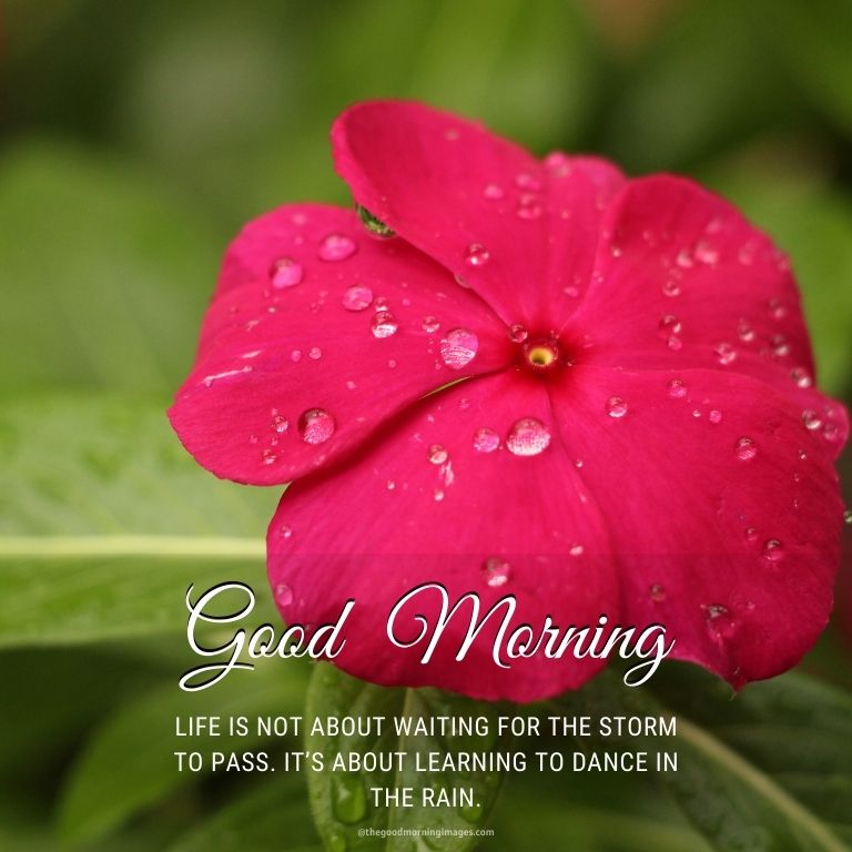 good morning raining quotes