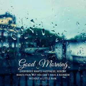 45+ [BEST] Rainy Good Morning Images