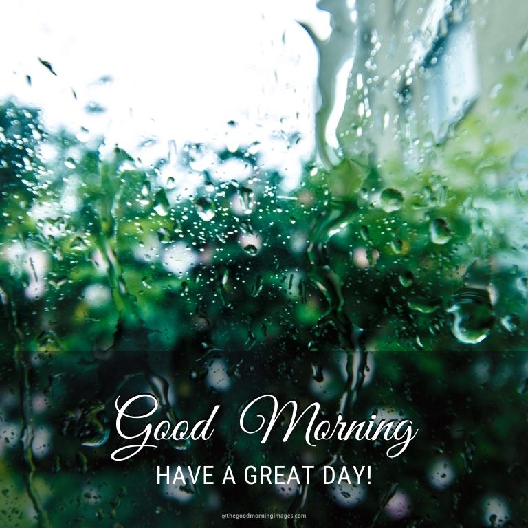 Rainy Good Morning HD Pic