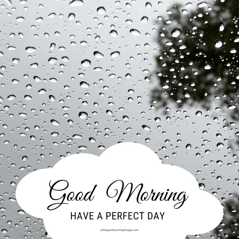 Rainy Good Morning Images