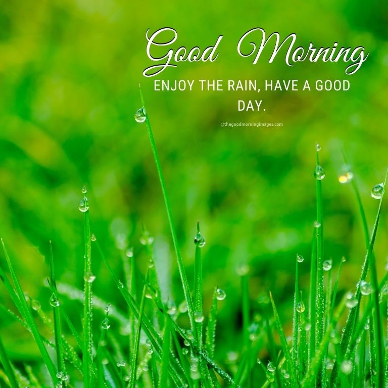 Rainy Good Morning HD Images