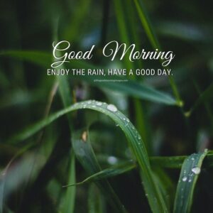 45+ [BEST] Rainy Good Morning Images