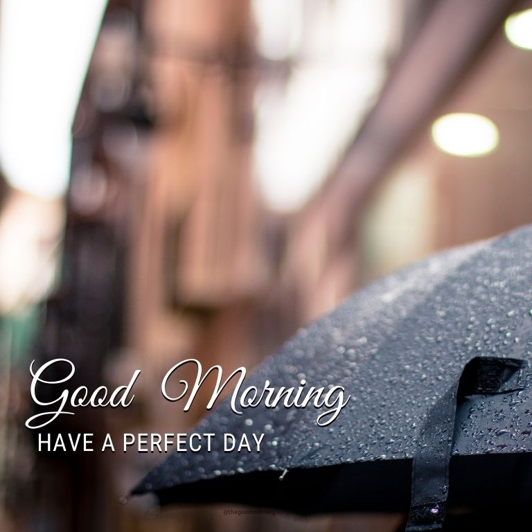 Rainy Good Morning Images