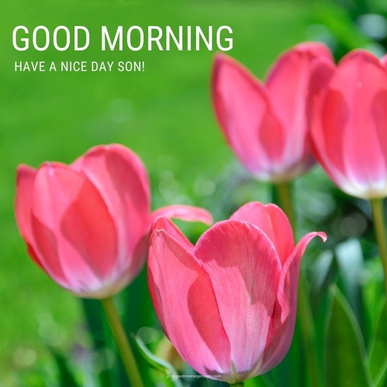 Good Morning Images for Son with flowers