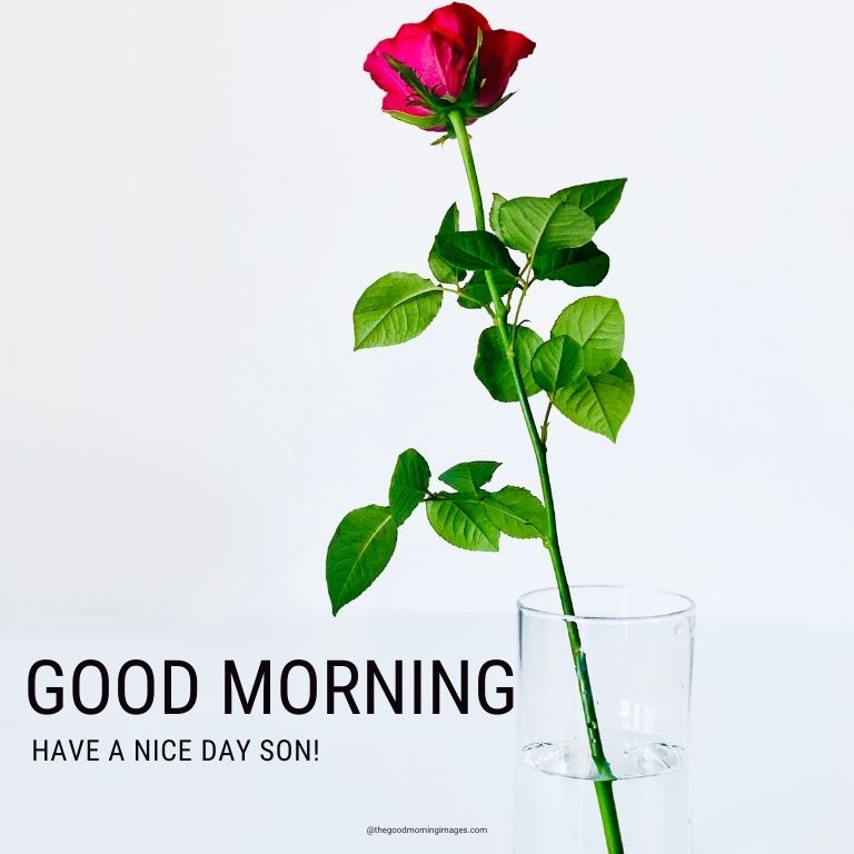 Good Morning Images for Son with flowers