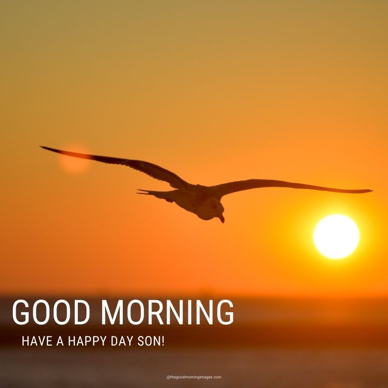 55+ Sweet Good Morning Images For Son