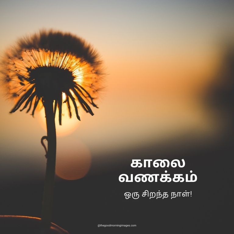 Good Morning Photos in Tamil