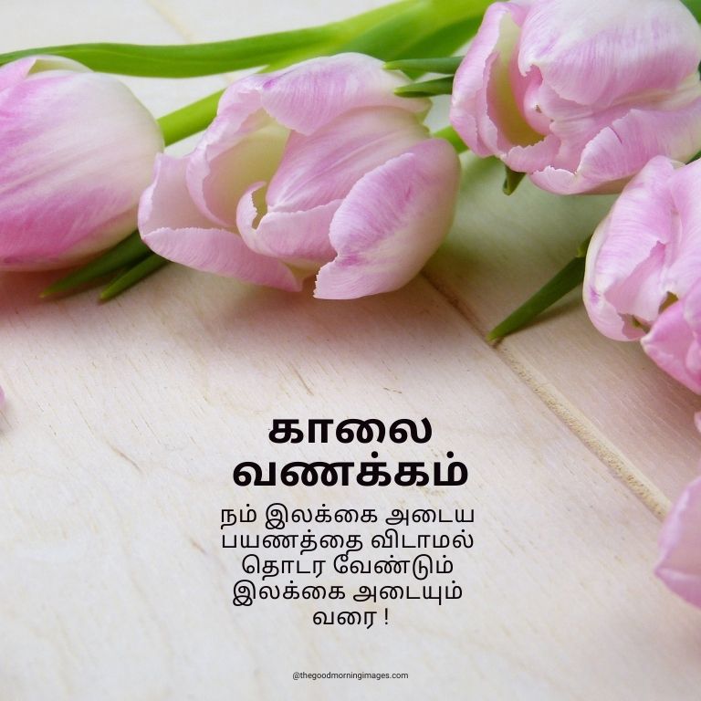 80+ Good Morning Images In Tamil With Quotes