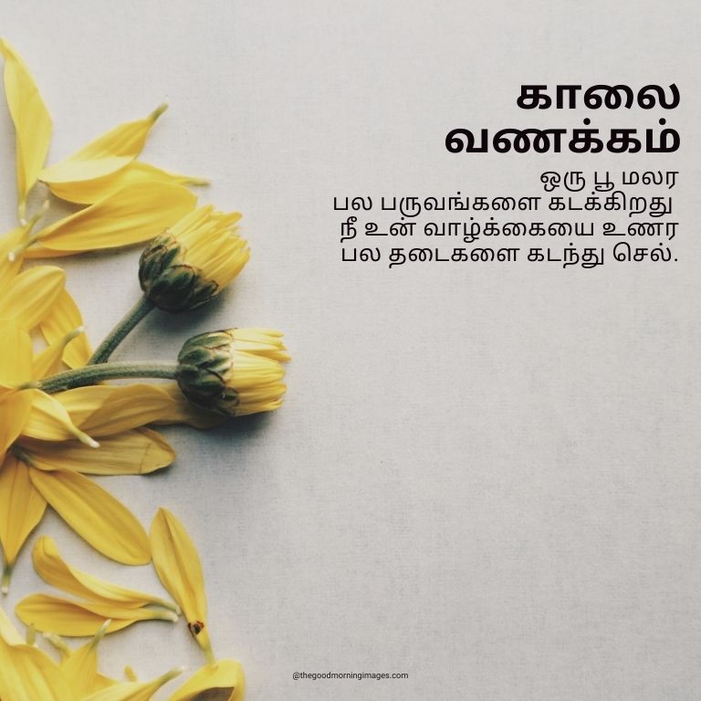 Good Morning flowers Images In Tamil