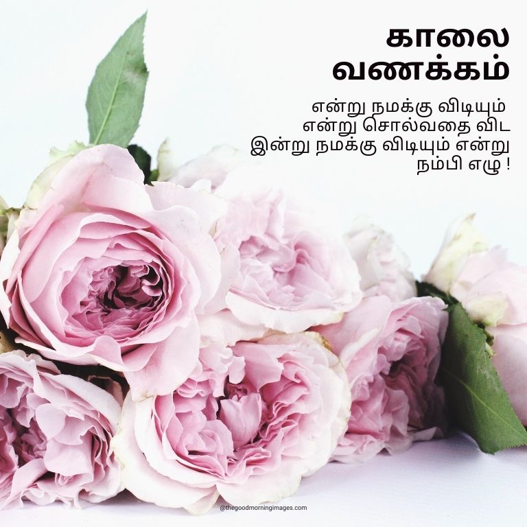 Good Morning flowers Images In Tamil