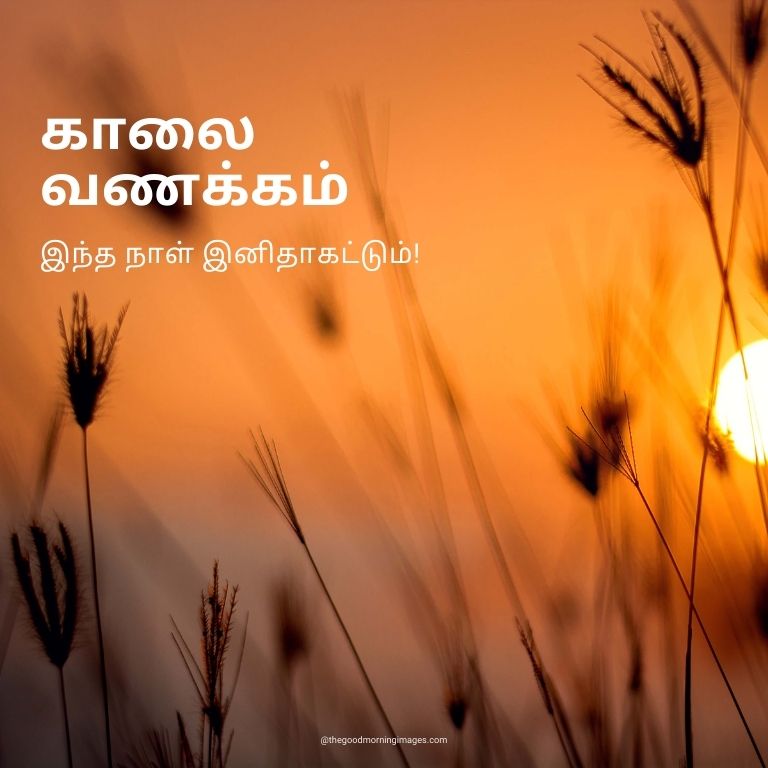 Good Morning Images in Tamil