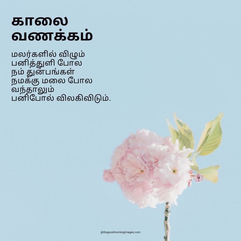 Good Morning Images In Tamil flowers