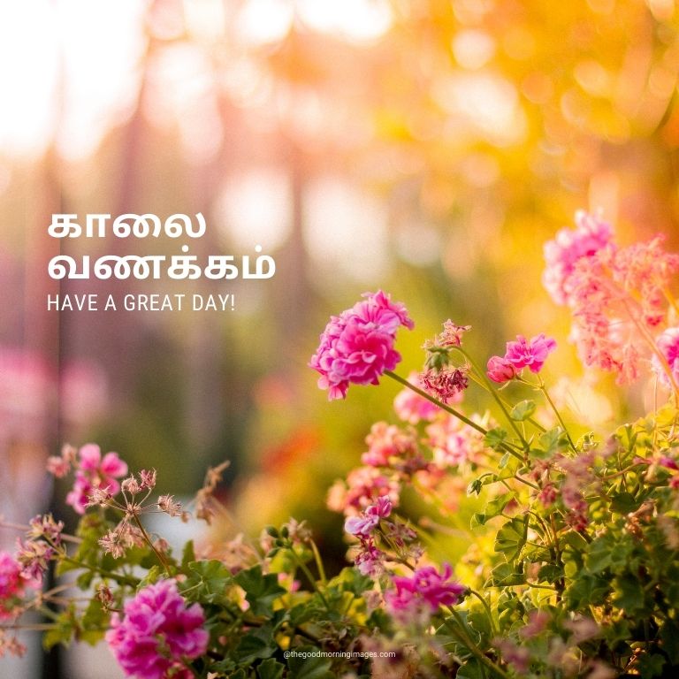 Good Morning flowers Images In Tamil