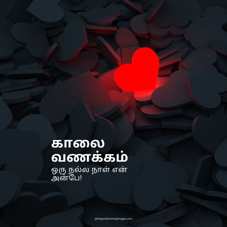 80+ Good Morning Images In Tamil With Quotes