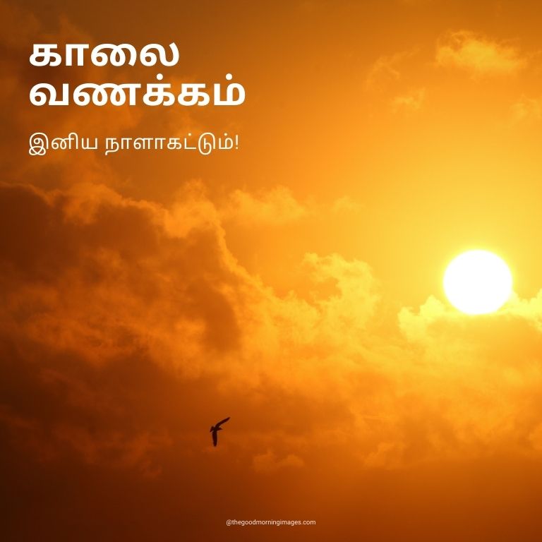 Good Morning Images in Tamil