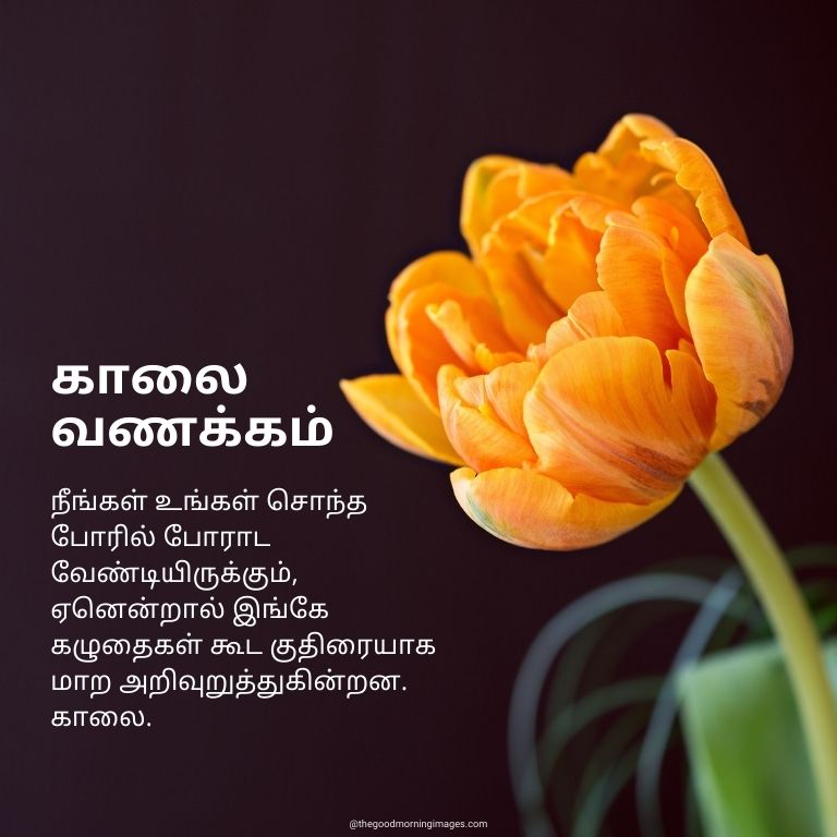 Good Morning pictures in Tamil