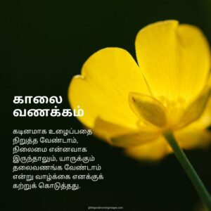80+ Good Morning Images In Tamil With Quotes
