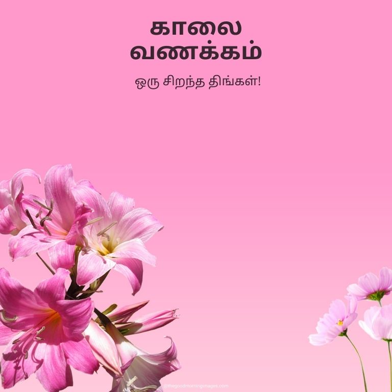 80+ Good Morning Images In Tamil With Quotes