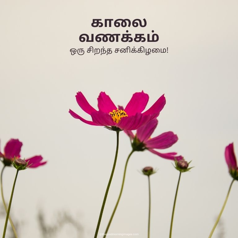 80 Good Morning Images In Tamil With Quotes