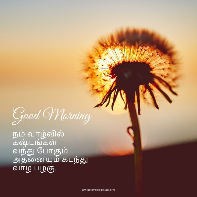 Good Morning Photos in Tamil