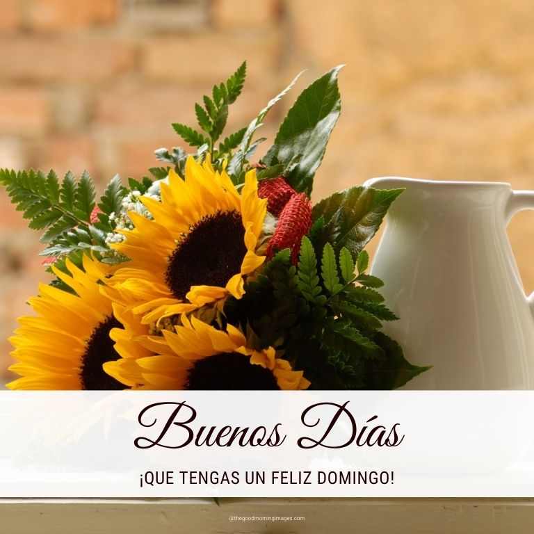 ¡Que tengas un feliz domingo!