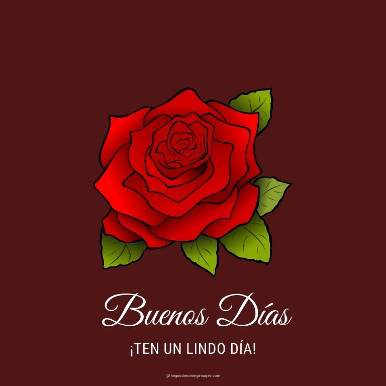 rosas rojas Buenos Días Imagenes