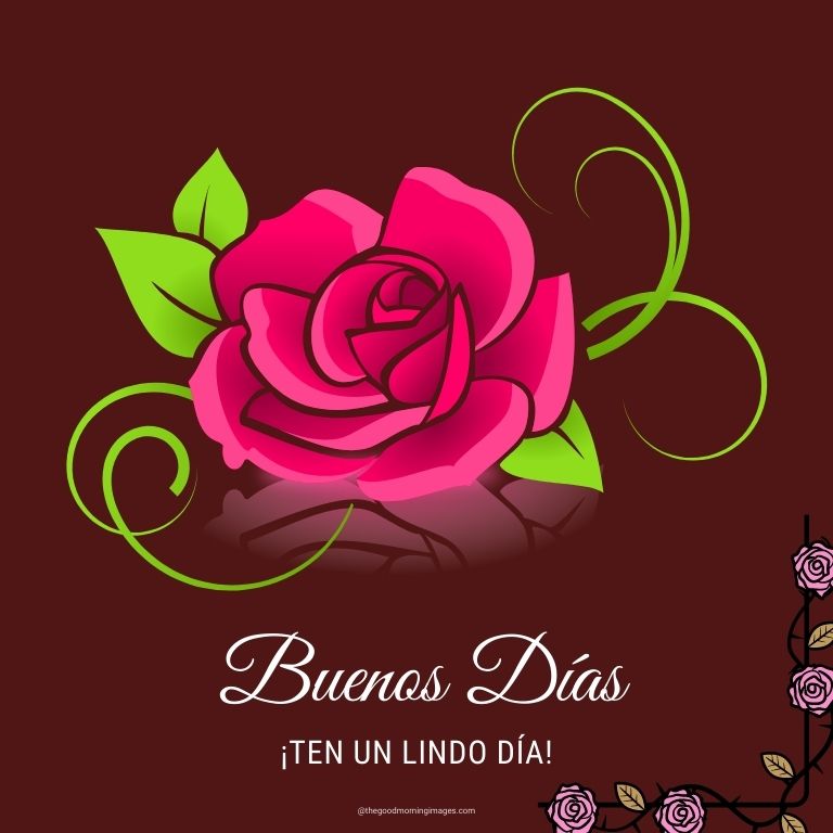 rosas Buenos Días Imagenes