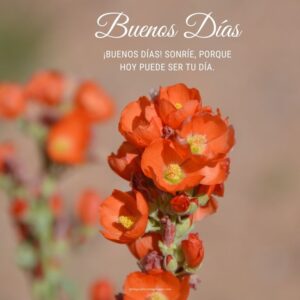 100+ Good Morning In Spanish Images [Buenos Días Imagenes]