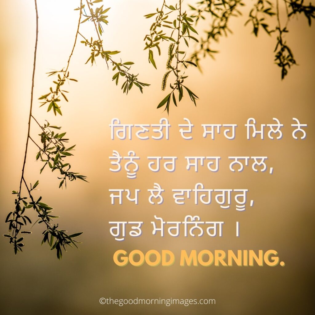 70+ Best Good Morning Punjabi Images [2023]