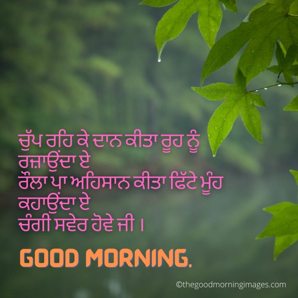 Punjabi Good Morning photos